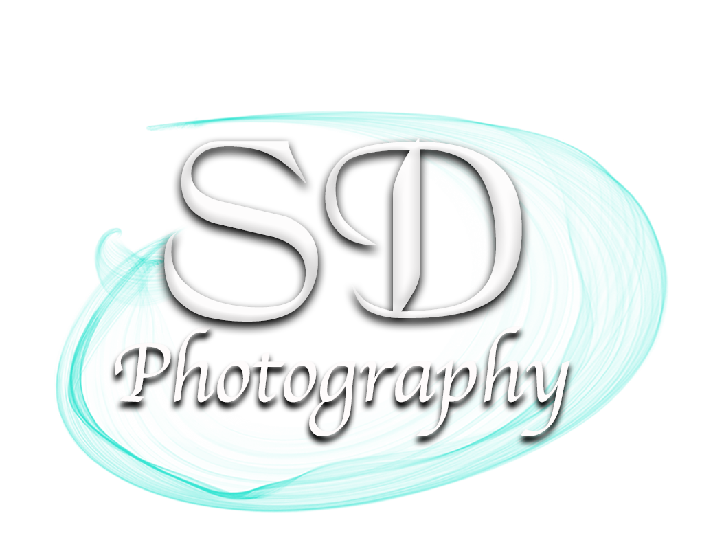 SD Photography Logo